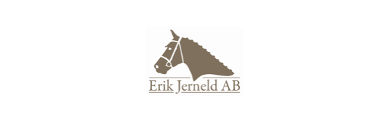 Ung SWBs lotteri under Norrköping Horse Show