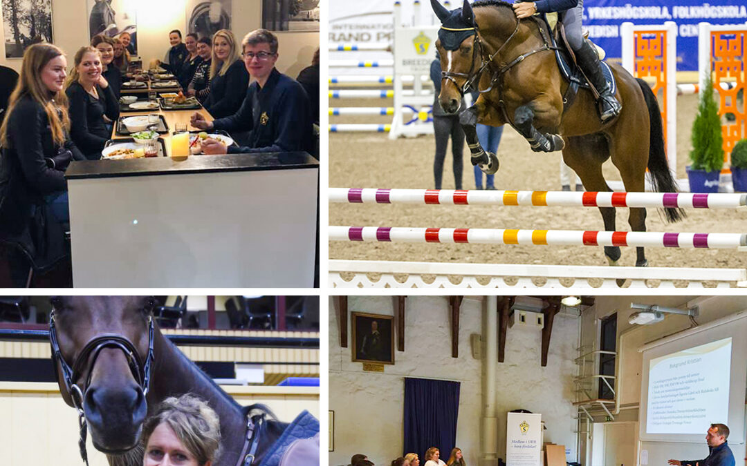 Häng med på Ung SWB-träffen under SWB Equestrian Weeks 2021!