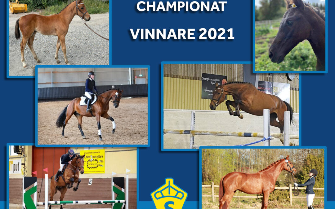 Vinnarna i Ung SWB Championat 2021!