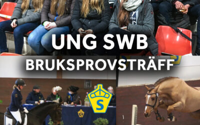 Bruksprovsträff på Strömsholm lördag 5 mars!